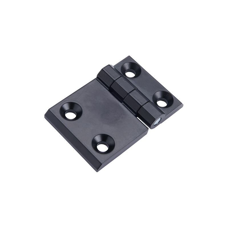 CL233-2-2 Dobradiça e pino de aço inoxidável para eletrólise ou polimento